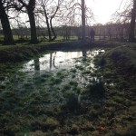 Dew Pond